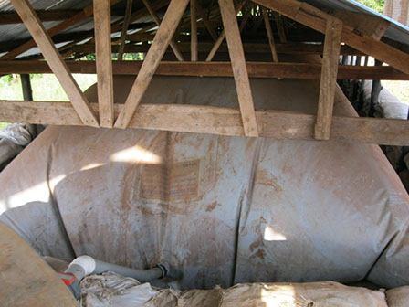 Inflated biogas digester bag under a timber shelter